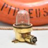 Antique Brass Security Light