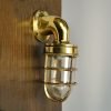 Handcrafted Brass Nautical Swan Neck Wall Light with Cage